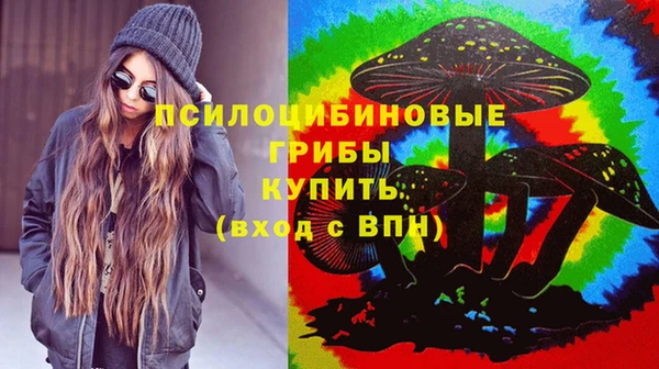 прущий лед Вязники